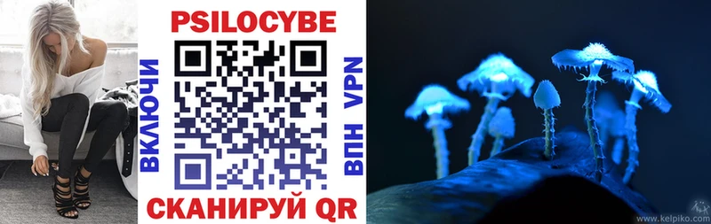 Галлюциногенные грибы Cubensis  Купить где  Дагестанские Огни 
